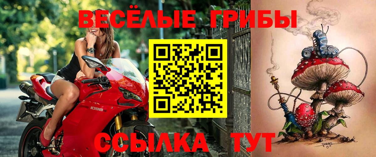 Псилоцибиновые грибы ЛСД Учалы